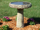 bird bath